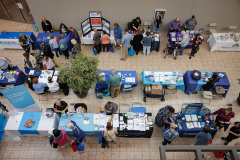 Senior Fair