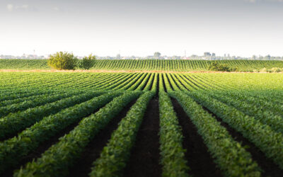 Senator Flynn Announces Farmland Preservation in Lackawanna County