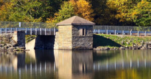 Griffin Dam